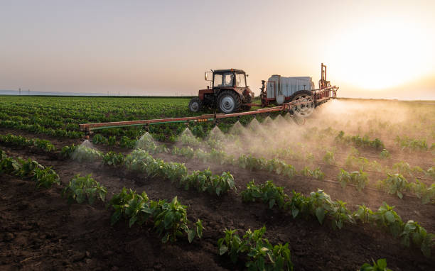 Best Commercial Pest Control Services  in Westport, IN
