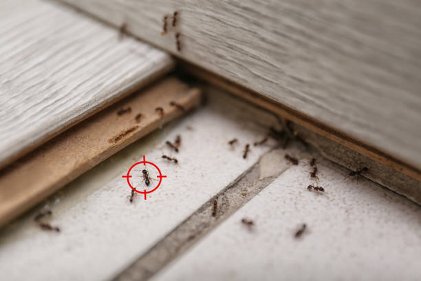 Westport, IN Pest Control Company