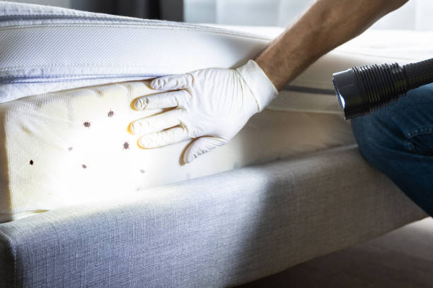 Best Pest Inspection Near Me  in Westport, IN