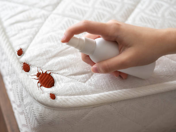 Best Local Pest Control Services  in Westport, IN