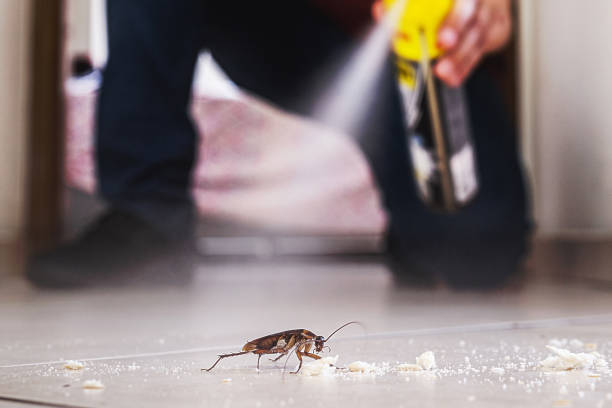 Best Mosquito Control Services  in Westport, IN