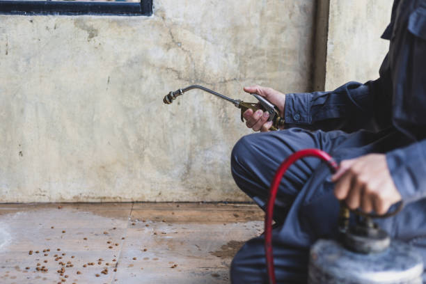 Best Exterminator Services  in Westport, IN